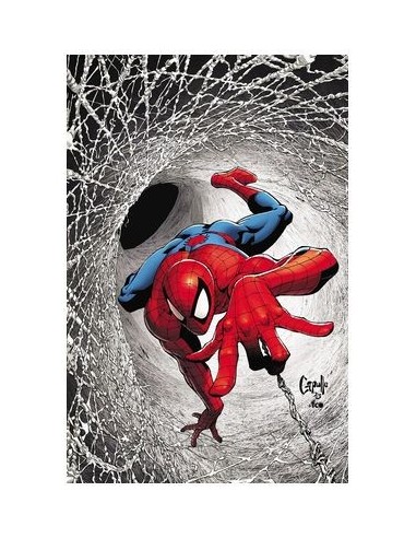 EL ASOMBROSO SPIDERMAN 30
