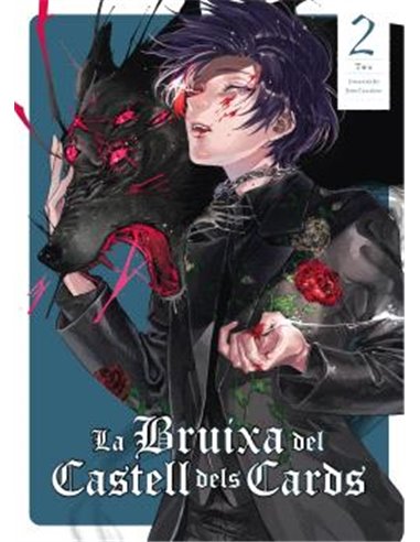 LA BRUIXA DEL CASTELL DELS CARDS VOL.02 (CATALAN)
