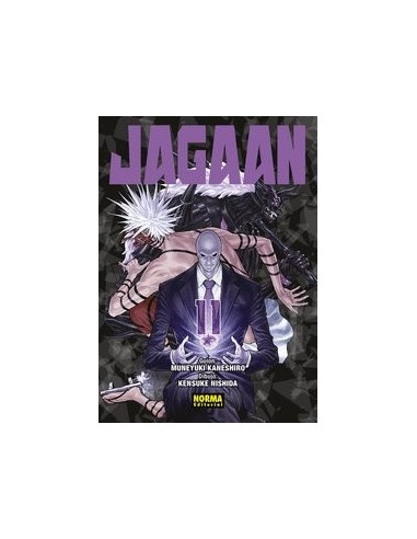 JAGAAN 11