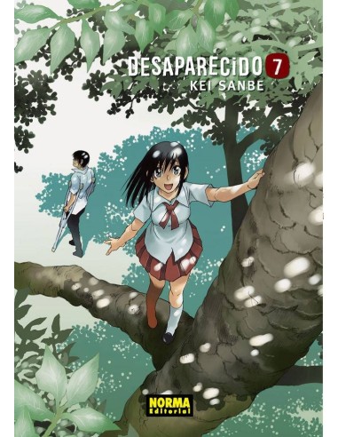 DESAPARECIDO 7