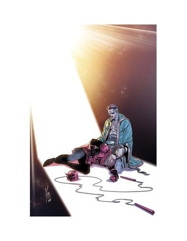 DAREDEVIL 13