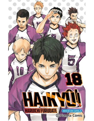 HAIKYU 18