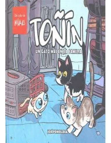 TOÑIN UN GATO MAS EN LA FAMILIA