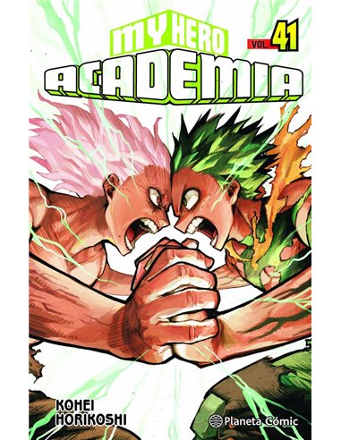 MY HERO ACADEMIA 41