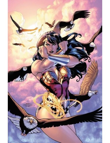 Wonder Woman: ¿Quién es Wonder Woman? (DC Pocket)