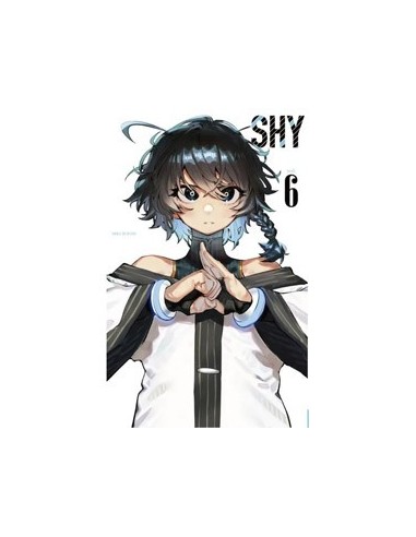 SHY 06