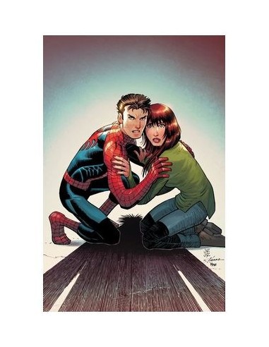 EL ASOMBROSO SPIDERMAN 14