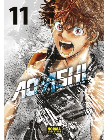 AO ASHI 11