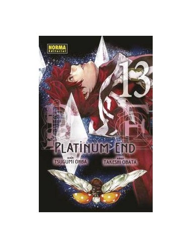 PLATINUM END 13