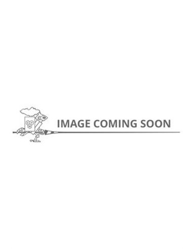 BLEACH BESTSELLER 29