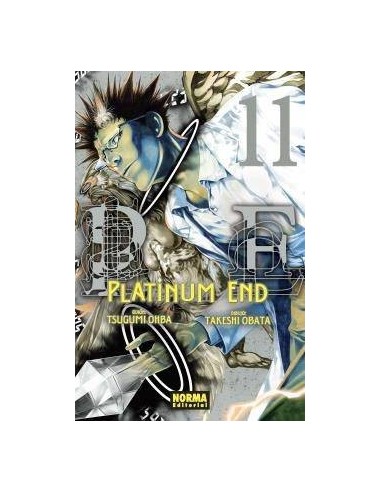 PLATINUM END 11