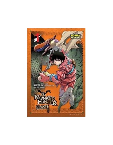 SEGUNDA MANO MONSTER HUNTER FLASH 1