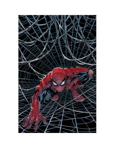 EL ASOMBROSO SPIDERMAN 19