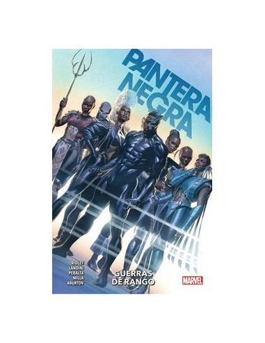 PANTERA NEGRA 02 GUERRAS DE RANGO