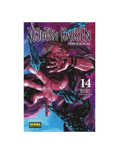 JUJUTSU KAISEN 14