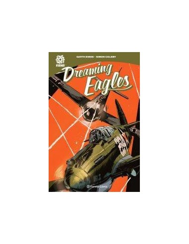 DREAMING EAGLES
