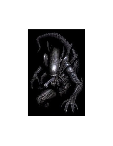 ALIEN N 1