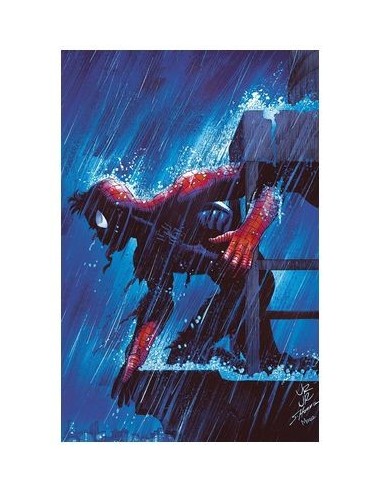 EL ASOMBROSO SPIDERMAN 29